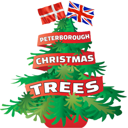 Peterborough Christmas Trees